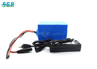 LiFePO4 OEM portatile su misura della batteria al litio 24V per UPS/il motore/automobile della barca